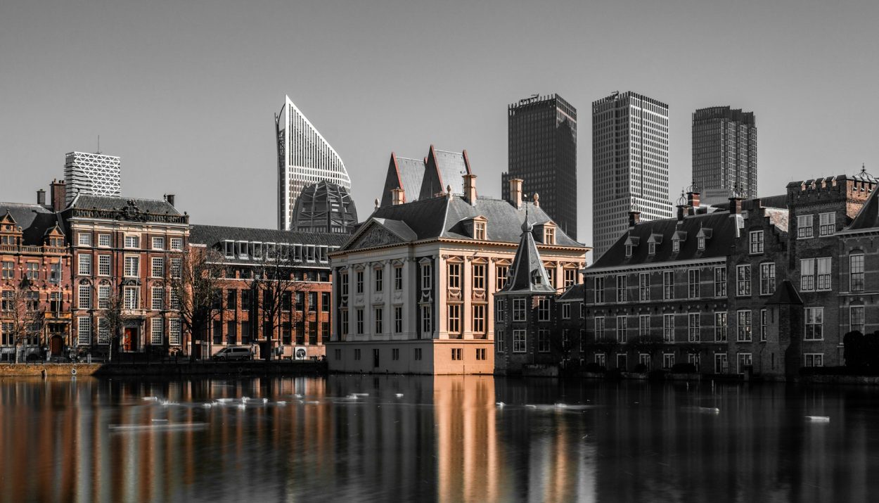 Live and Work Opportunities in The Hague
