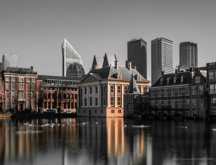 Live and Work Opportunities in The Hague