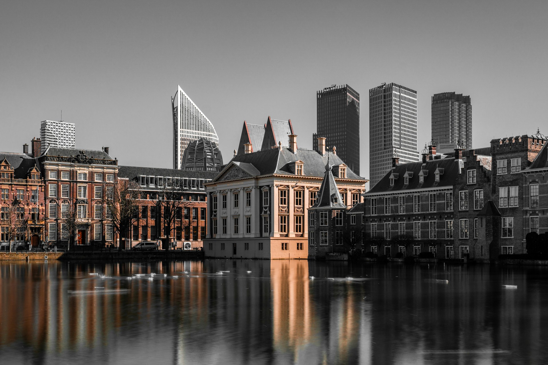 Live and Work Opportunities in The Hague