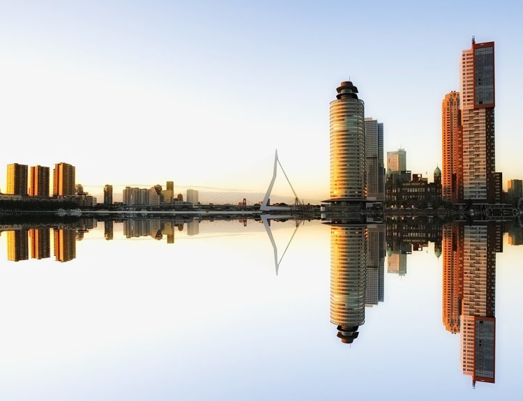 Opportunities to Live and Work in Rotterdam